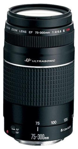 Canon EF 75-300 mm F/4-5.6 III USM