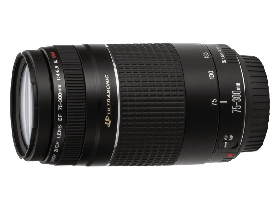 Canon EF 75-300 mm F/4-5.6 II USM