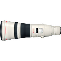 Canon EF 800mm f/5.6 L IS USM