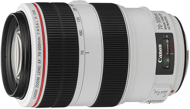 Canon EF 70-300 f/4-5.6 L IS USM