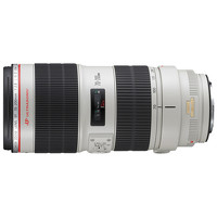 Canon 70-200mm f/2.8L