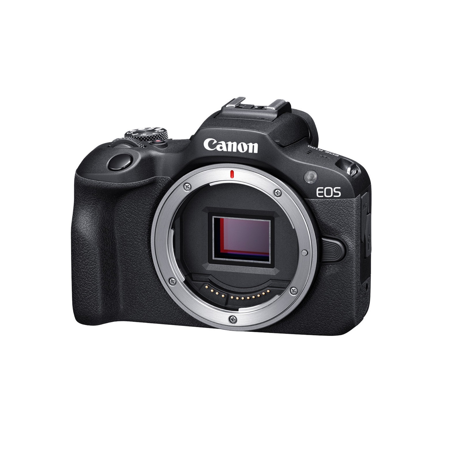 Canon EOS R100