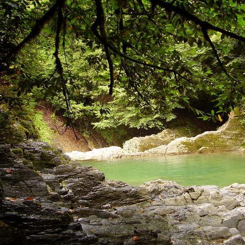 Превью фотографии фотографа Наталья Герасименко