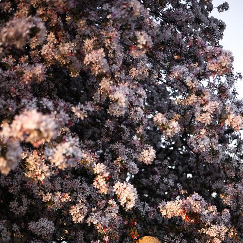 Preview Photographer\'s photo Ana Ray