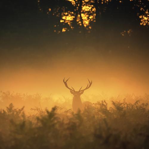 Preview Photographer\'s photo Robert Fabrowski