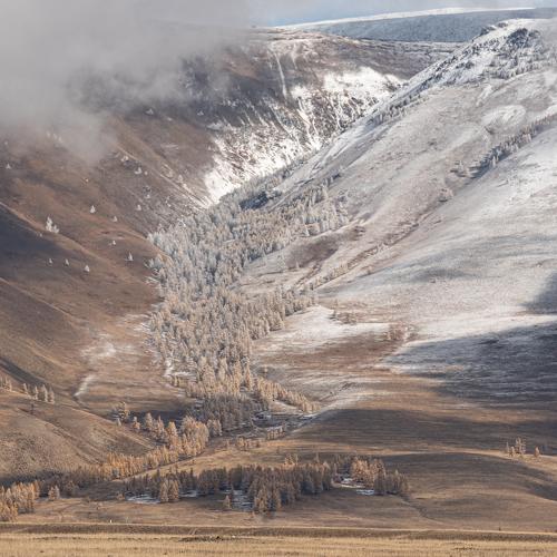 Превью фотографии фотографа Kurlov Aleksei