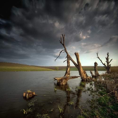 Preview Photographer\'s photo Sergey Braga