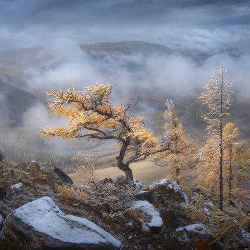 Preview Photographer\'s photo Dmitry Medyancev