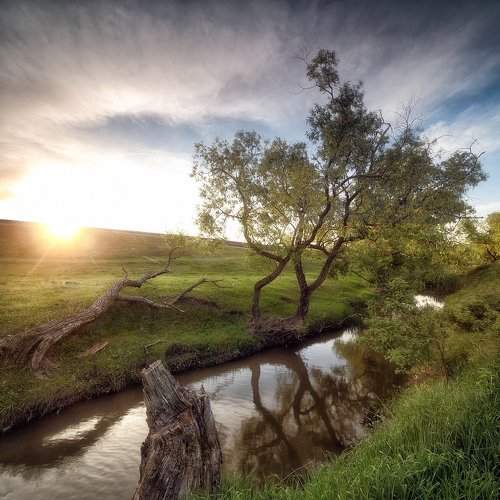 Preview Photographer\'s photo Sergey Braga