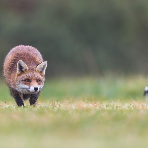 Preview Photographer\'s photo Marcin Kaczmarkiewicz