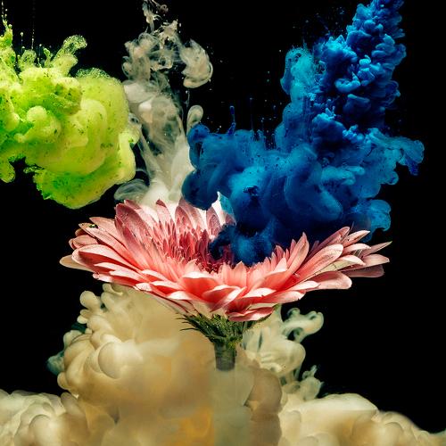 Preview Photographer\'s photo Евгений Погоня