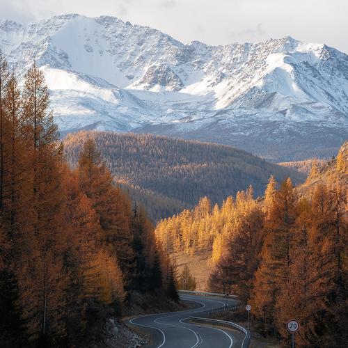 Превью фотографии фотографа Скалин Алексей