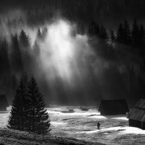 Превью фотографии фотографа Pawel Uchorczak