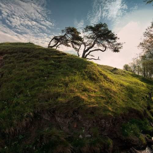 Превью фотографии фотографа normiks