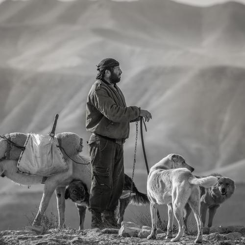 Превью фотографии фотографа Григорий Крамаренко