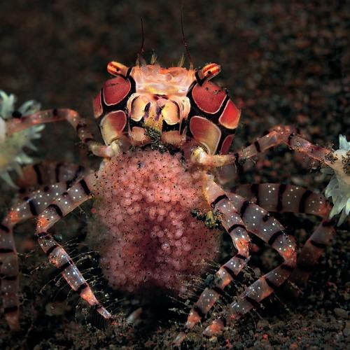 Превью фотографии фотографа Unlis