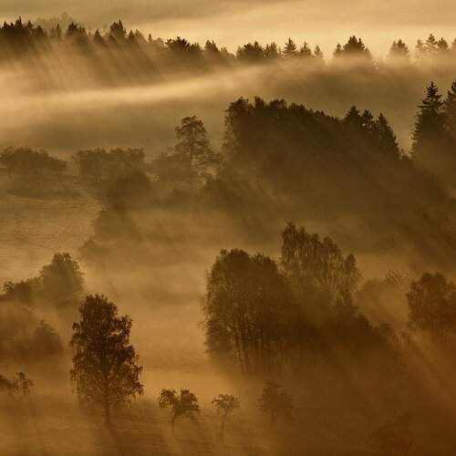 Превью фотографии фотографа Daniel Rericha