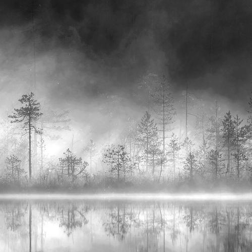 Превью фотографии фотографа Виктор