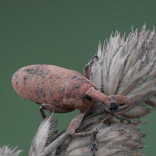 Превью фотографии фотографа Игорь ФУММ