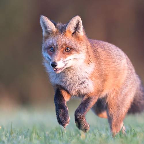 Preview Photographer\'s photo Marcin Kaczmarkiewicz