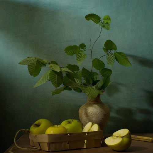 Превью фотографии фотографа Киливник Наталия(Metron)