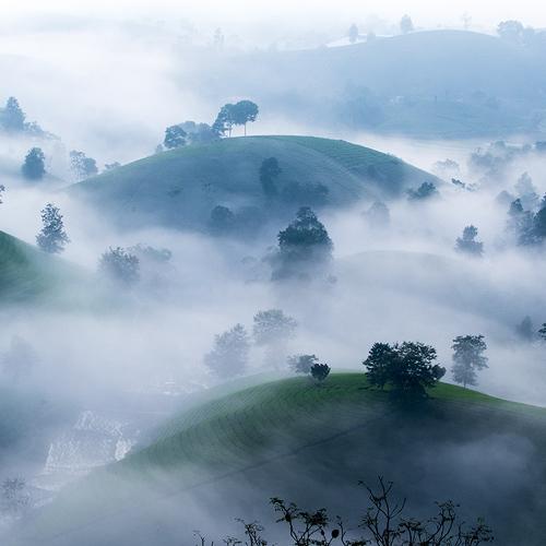 Preview Photographer\'s photo Nguyễn Anh Tuấn