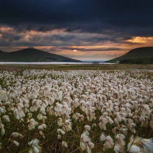 Превью фотографии фотографа Emilis Baltrusaitis