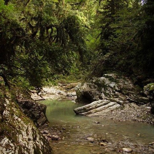 Превью фотографии фотографа Наталья Герасименко