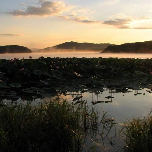 Превью фотографии фотографа nataly_C