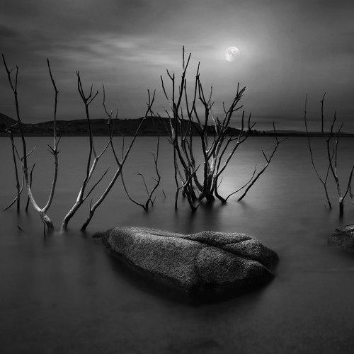 Превью фотографии фотографа Emilis Baltrusaitis