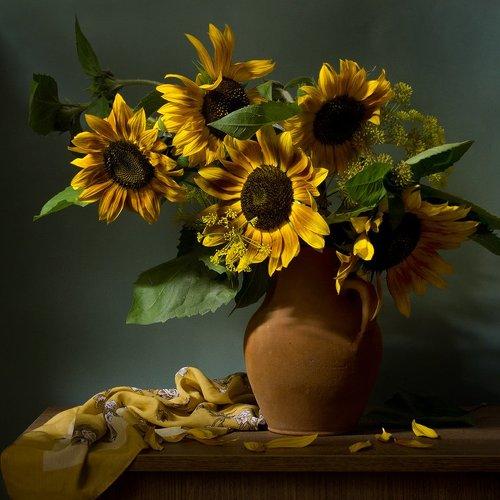 Превью фотографии фотографа Киливник Наталия(Metron)