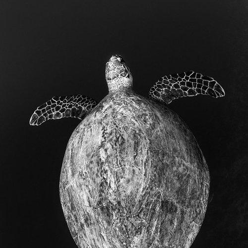 Preview Photographer\'s photo Nadya Kulagina