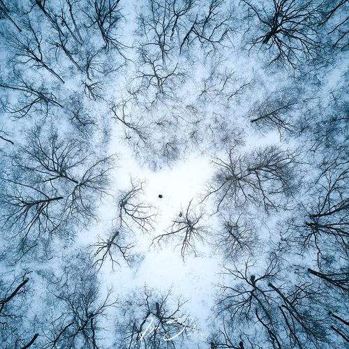 Preview Photographer\'s photo Igor Sirbu