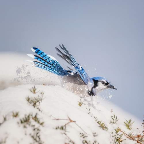 Превью фотографии фотографа Yury Lugansky