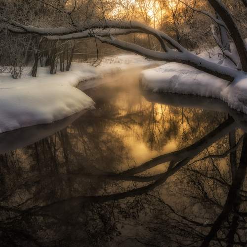 Превью фотографии фотографа Vladimir Bragilevsky