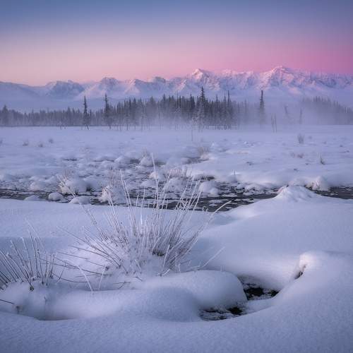 Превью фотографии фотографа Алёна Рубан