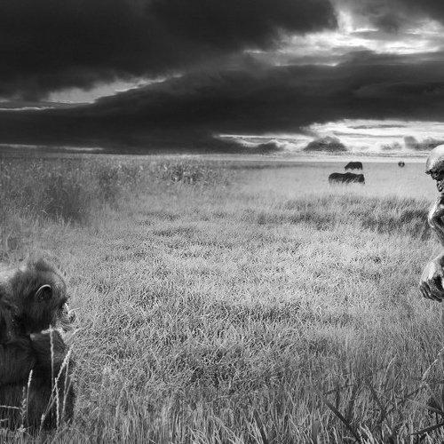 Preview Photographer\'s photo Emilis Baltrusaitis