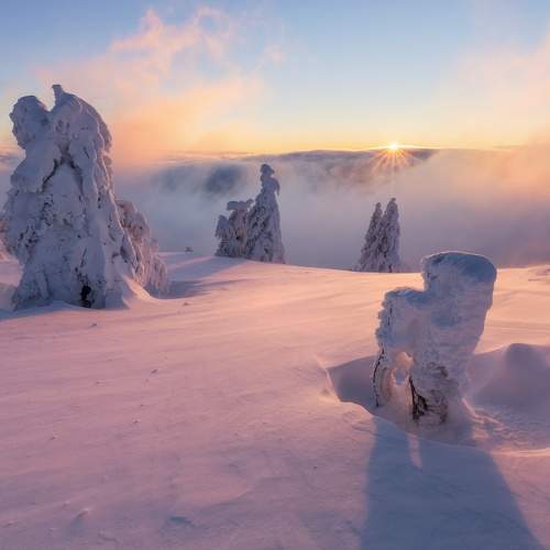 Превью фотографии фотографа Petr Fiala