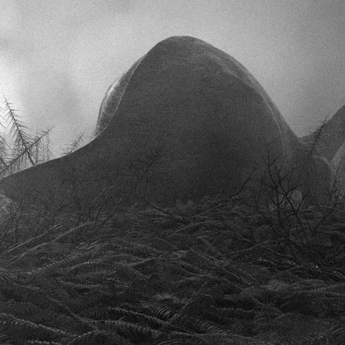 Preview Photographer\'s photo Павел Супрун