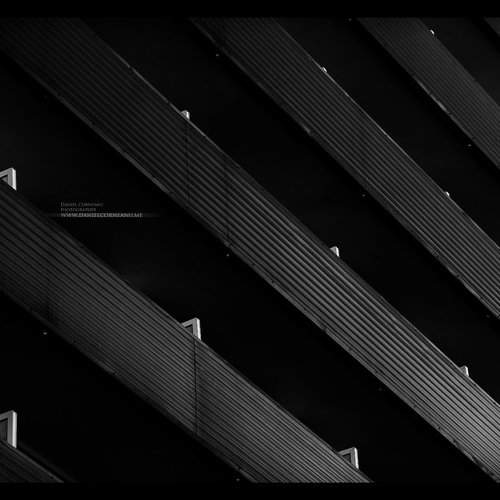 Preview Photographer\'s photo CDaniel Daniel