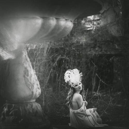 Preview Photographer\'s photo Игорь Тополенко