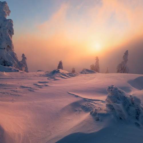 Превью фотографии фотографа Petr Fiala