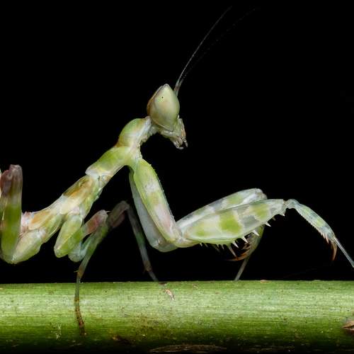 Preview Photographer\'s photo Pinak Paul