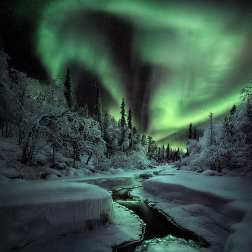 Превью фотографии фотографа Королев Сергей