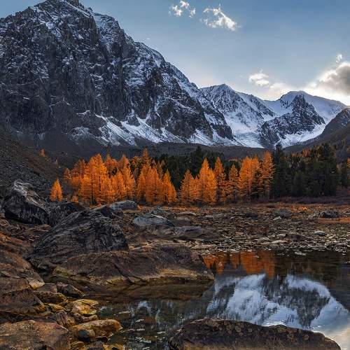 Превью фотографии фотографа Лора Павлова