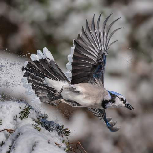 Превью фотографии фотографа Yury Lugansky