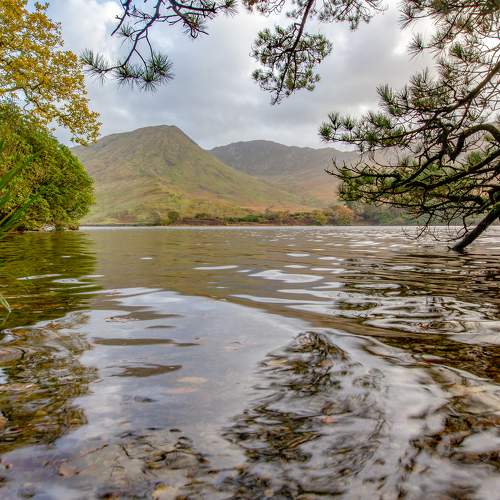 Превью фотографии фотографа Юрий Чернов