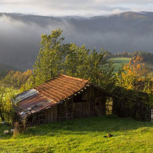 Preview Photographer\'s photo KÖSE ORHAN