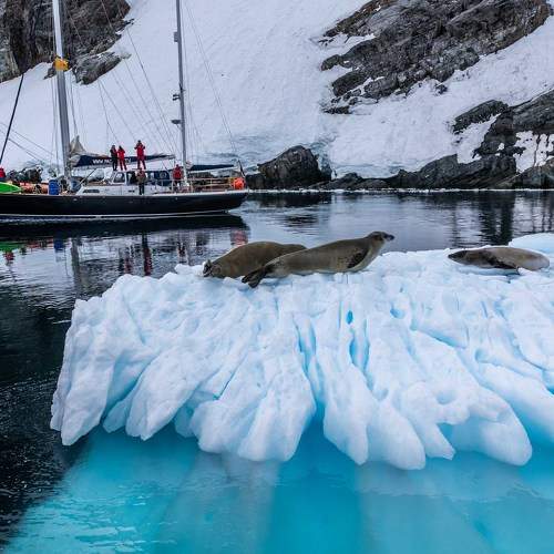 Preview Photographer\'s photo Лозицкий Александр