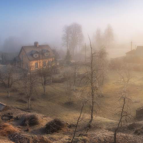 Preview Photographer\'s photo Roman Dmitriev